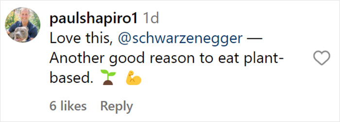 From Lulu The Donkey To Schnelly The Pig: Meet Arnold Schwarzenegger&rsquo;s Pet Paradise