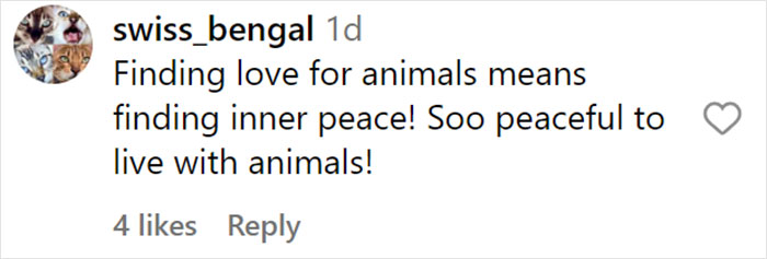 From Lulu The Donkey To Schnelly The Pig: Meet Arnold Schwarzenegger&rsquo;s Pet Paradise