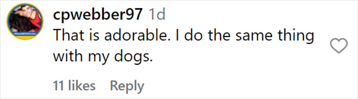 From Lulu The Donkey To Schnelly The Pig: Meet Arnold Schwarzenegger&rsquo;s Pet Paradise