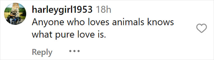 From Lulu The Donkey To Schnelly The Pig: Meet Arnold Schwarzenegger&rsquo;s Pet Paradise