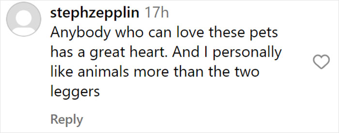 From Lulu The Donkey To Schnelly The Pig: Meet Arnold Schwarzenegger&rsquo;s Pet Paradise