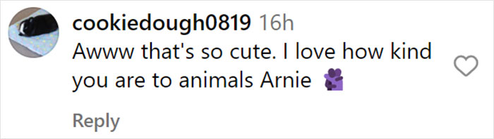 From Lulu The Donkey To Schnelly The Pig: Meet Arnold Schwarzenegger&rsquo;s Pet Paradise