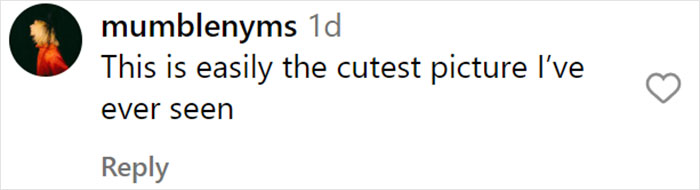 From Lulu The Donkey To Schnelly The Pig: Meet Arnold Schwarzenegger&rsquo;s Pet Paradise