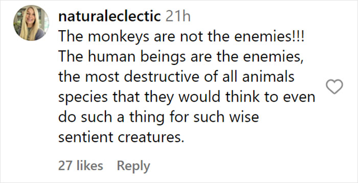 &ldquo;What If One Gets Out?&ldquo;: Residents Of Georgia Town Rally Against Farm To House 30,000 Monkeys