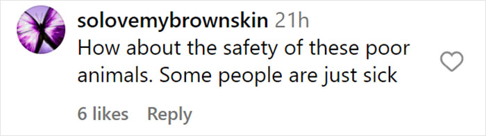 &ldquo;What If One Gets Out?&ldquo;: Residents Of Georgia Town Rally Against Farm To House 30,000 Monkeys
