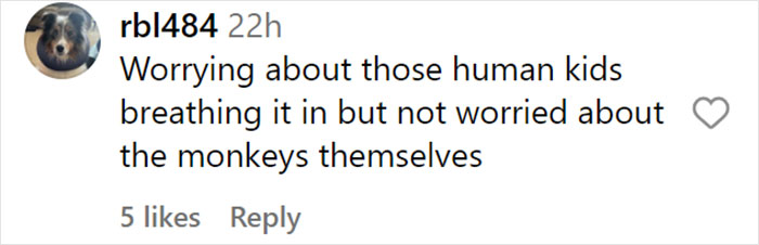 &ldquo;What If One Gets Out?&ldquo;: Residents Of Georgia Town Rally Against Farm To House 30,000 Monkeys