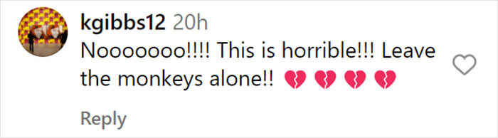 &ldquo;What If One Gets Out?&ldquo;: Residents Of Georgia Town Rally Against Farm To House 30,000 Monkeys