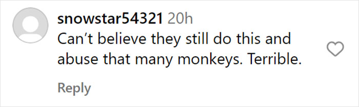 &ldquo;What If One Gets Out?&ldquo;: Residents Of Georgia Town Rally Against Farm To House 30,000 Monkeys