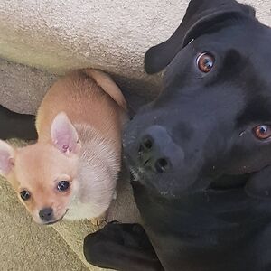 natalie_white3 avatar