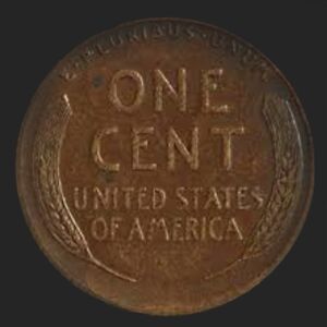 cavaah-services avatar