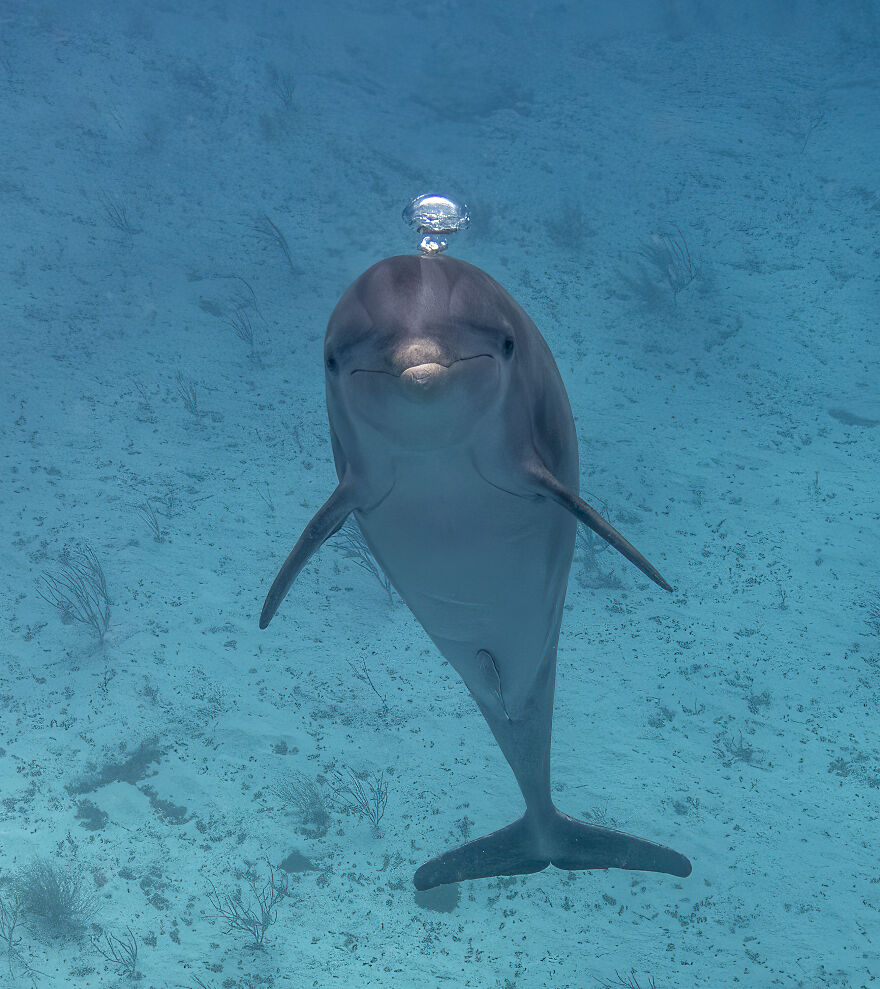 Honorable Mention In In Compact Behavior: "Hello" By Keri Frankenstein