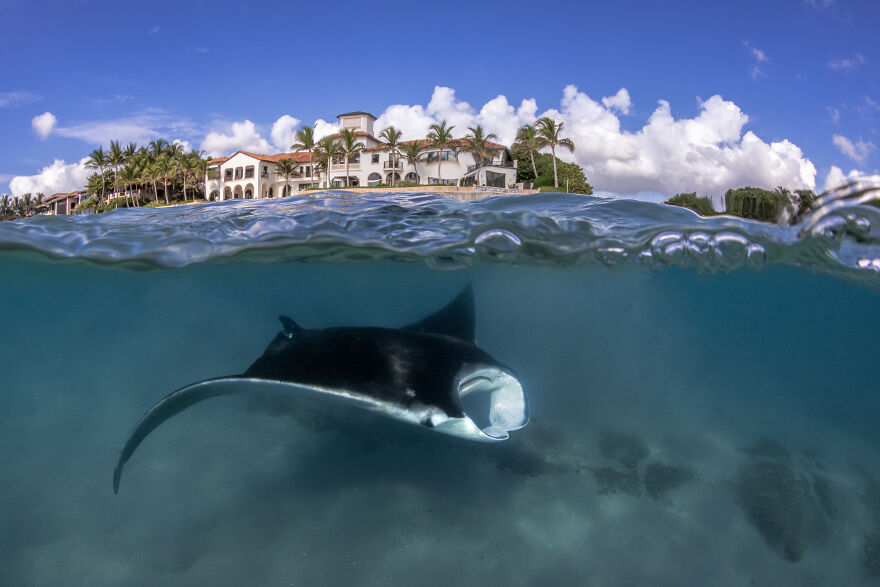 3rd Place In Wide-Angle Category: "In Our Shadow" By Bryant Turffs