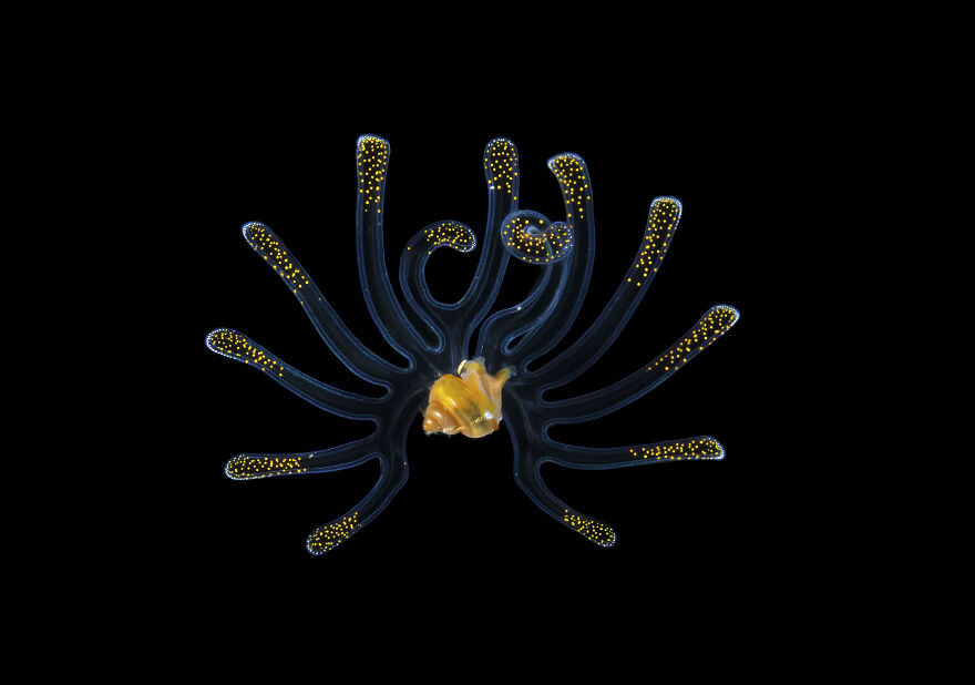 Honorable Mention In Blackwater: "Art" By Steven Kovacs