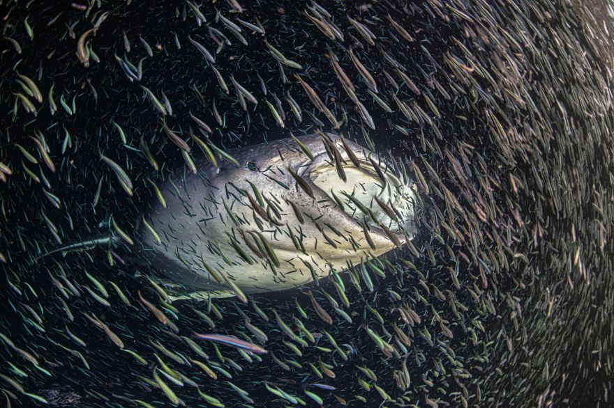 Honorable Mention In Wide-Angle Category: "Rainbow" By Ipah Uid Lynn