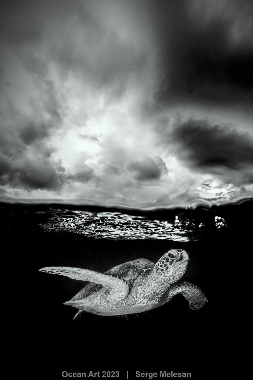 Honorable Mention In Black & White: "Just Below" By Serge Melesan