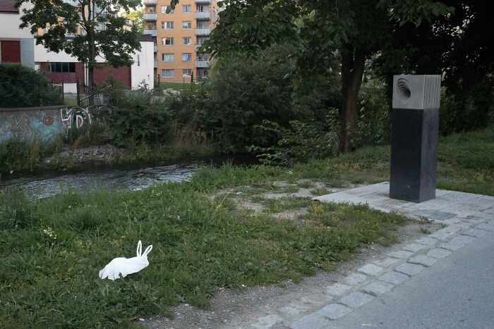 30 Best Fun Accidents Captured On Streets By This Photographer (New Pics)