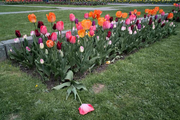 30 Best Fun Accidents Captured On Streets By This Photographer (New Pics)