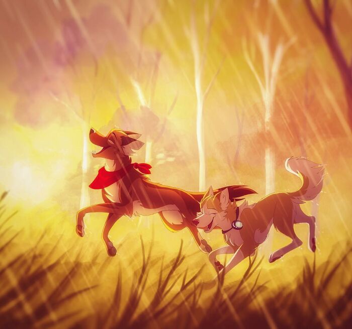 The Secret Life Of Dogs Illustrated By Skailla