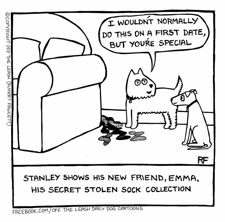 This Artist Captures Silly Moments That Happen In A Dog Owner's Life