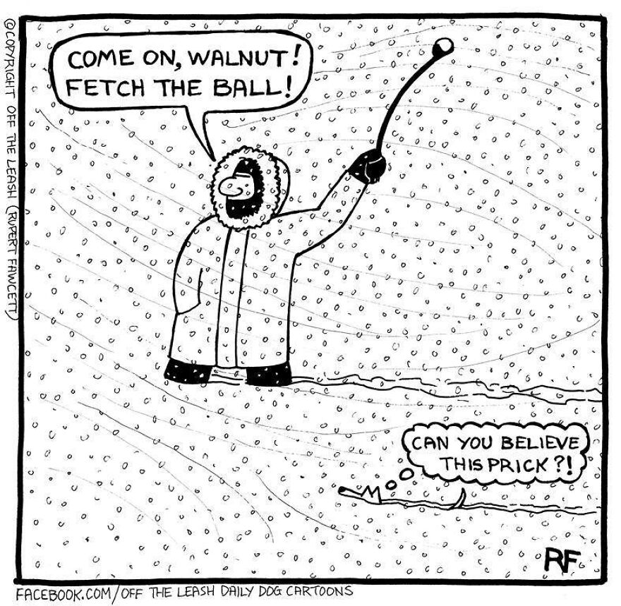 This Artist Captures Silly Moments That Happen In A Dog Owner's Life