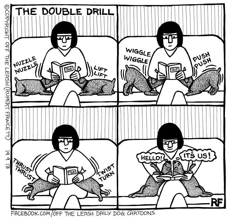 This Artist Captures Silly Moments That Happen In A Dog Owner's Life