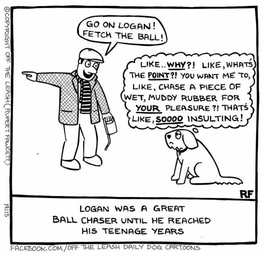 This Artist Captures Silly Moments That Happen In A Dog Owner's Life