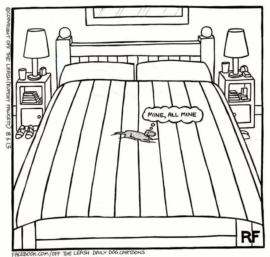 This Artist Captures Silly Moments That Happen In A Dog Owner's Life