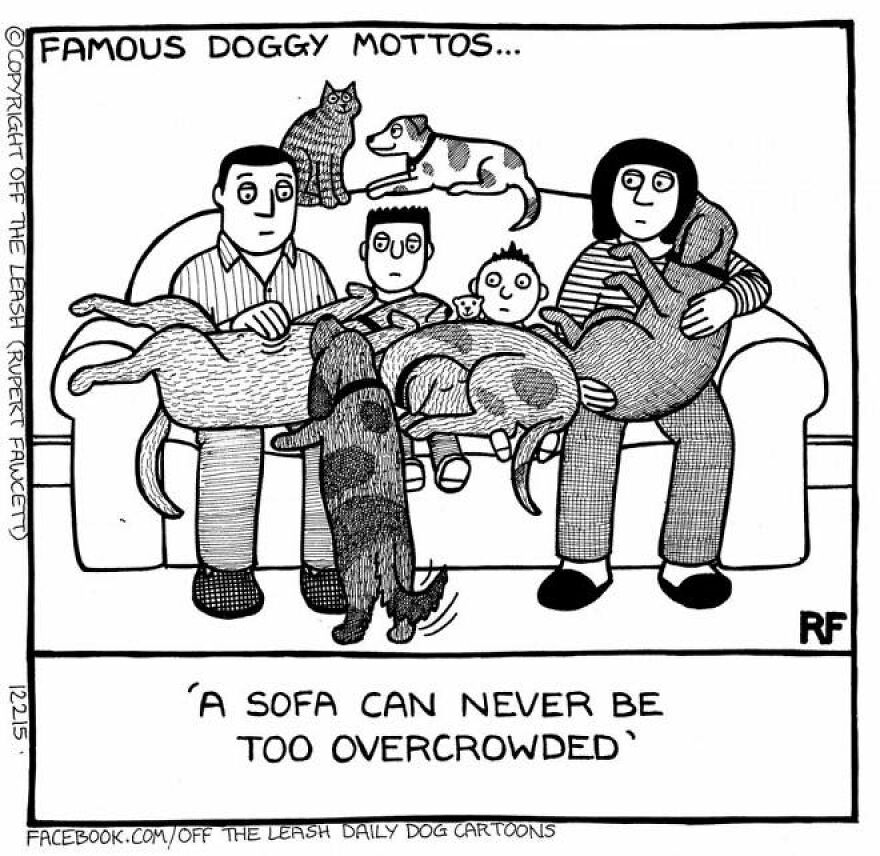 This Artist Captures Silly Moments That Happen In A Dog Owner's Life