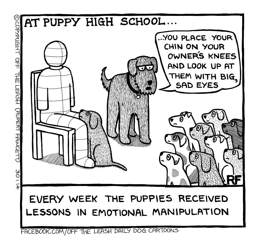 This Artist Captures Silly Moments That Happen In A Dog Owner's Life