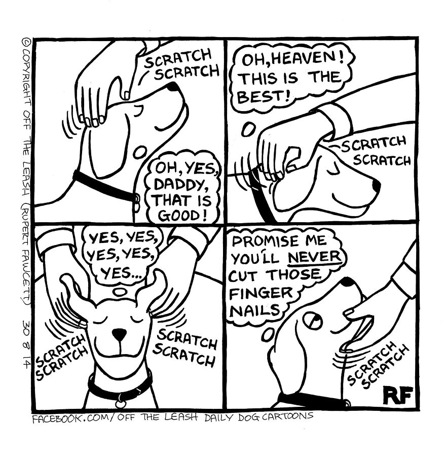 This Artist Captures Silly Moments That Happen In A Dog Owner's Life