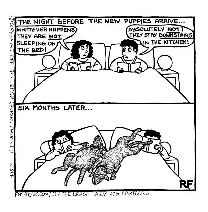 This Artist Captures Silly Moments That Happen In A Dog Owner's Life