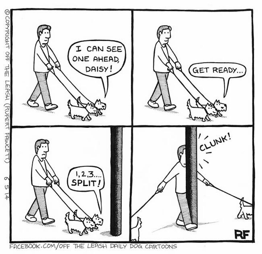 This Artist Captures Silly Moments That Happen In A Dog Owner's Life