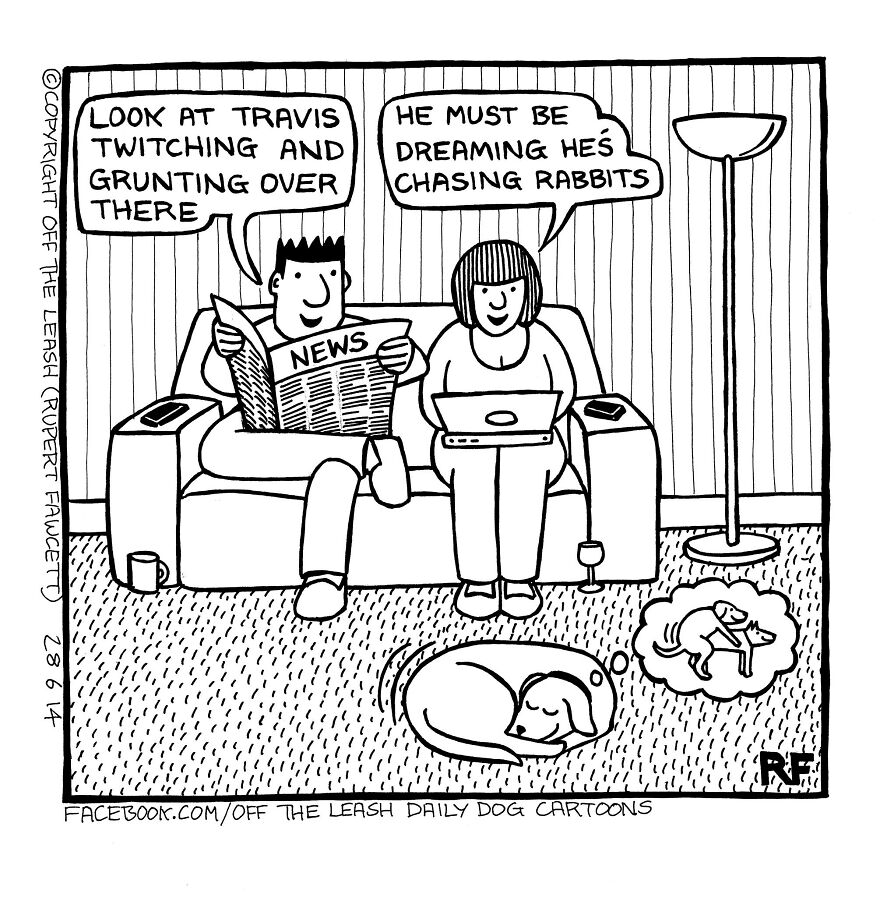 This Artist Captures Silly Moments That Happen In A Dog Owner's Life