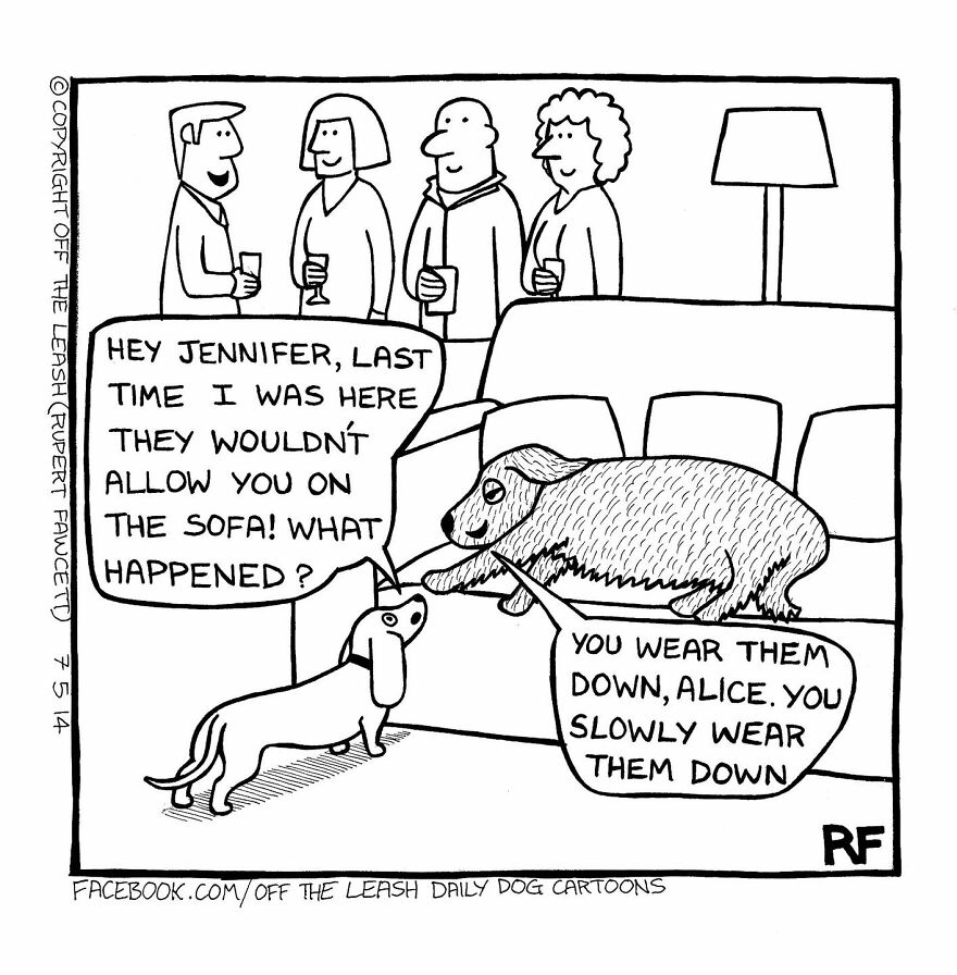 This Artist Captures Silly Moments That Happen In A Dog Owner's Life