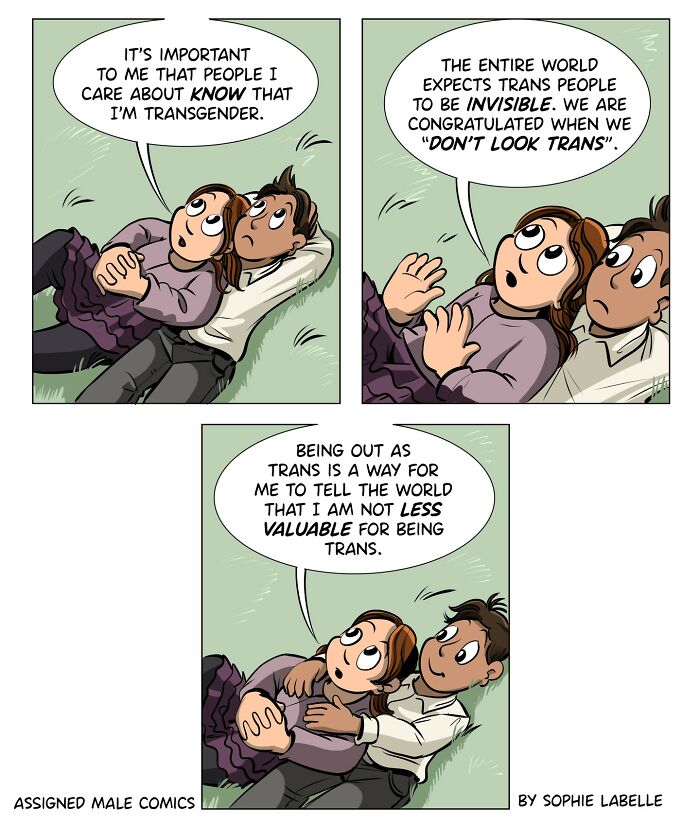 Comic About Trans And Queer People By Sophie Labelle