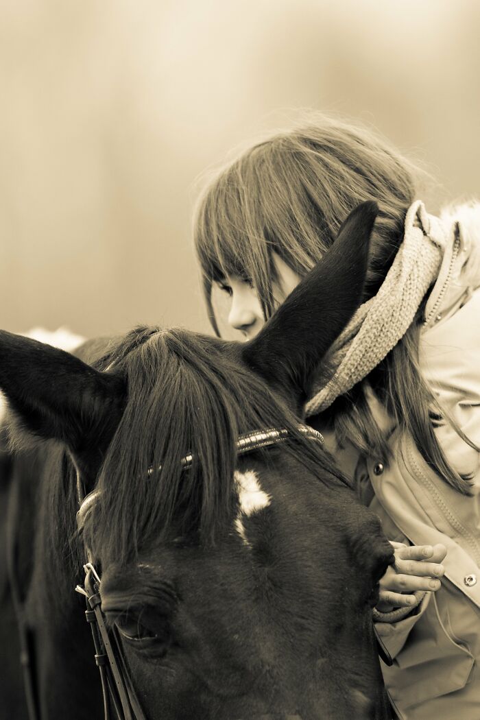 A Horse As A Pet (9 Pics)