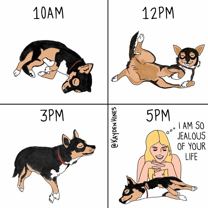 Funny Life Illustration By Kayden Hines