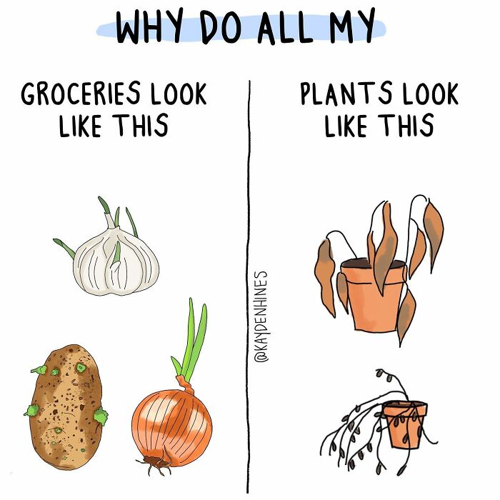 Funny Life Illustration By Kayden Hines