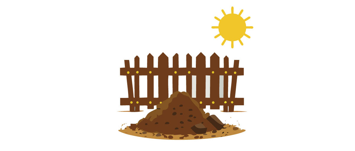 allium illustration allium illustration