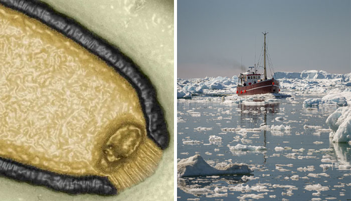 “We Face A Tangible Threat”: Scientists Speak About “Zombie Viruses” That Could Spark Pandemic