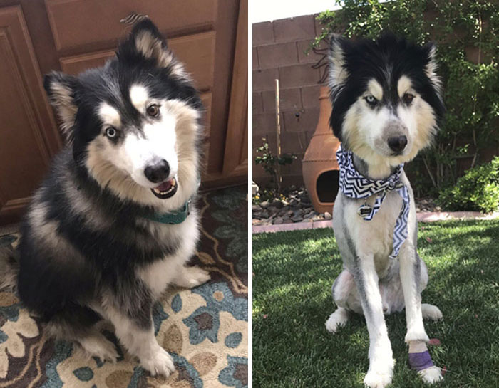 He Went From Happy To Really Mad