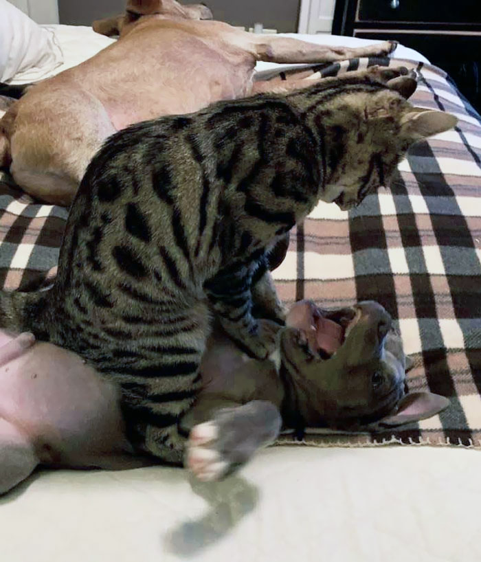 They Were Both Sleeping 3 Minutes Ago