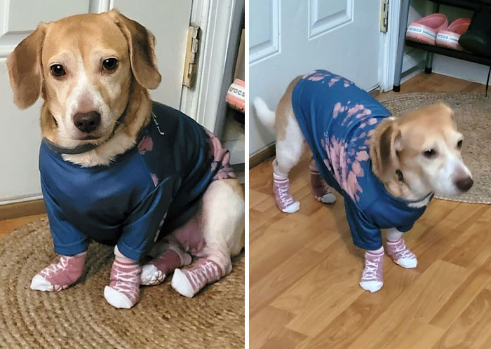 Operation No Scratch. She Hates Me So Much Right Now