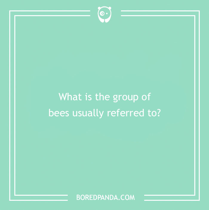 Answer These ‘Are You Smarter Than A 5th Grader’ Questions To See How Much You Remember From Elementary School