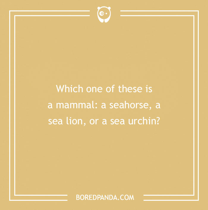 Answer These ‘Are You Smarter Than A 5th Grader’ Questions To See How Much You Remember From Elementary School