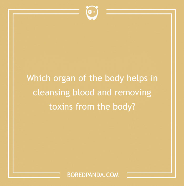 Answer These ‘Are You Smarter Than A 5th Grader’ Questions To See How Much You Remember From Elementary School