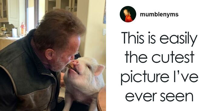 From Lulu The Donkey To Schnelly The Pig: Meet Arnold Schwarzenegger’s Pet Paradise
