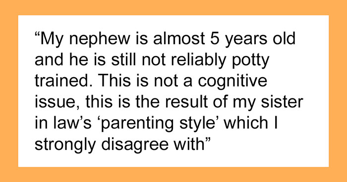 Aunt Refuses To Babysit Her Nephew Until He’s Potty Trained, Gets Accused Of “Parent-Shaming”