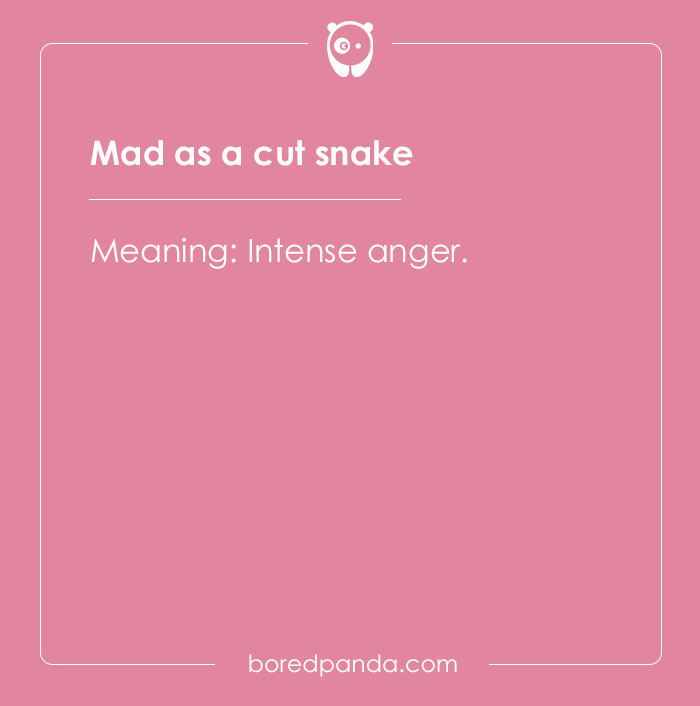 84 Australian Slang Words To Help You Finally Get What Your Aussie Friends Are Talking About