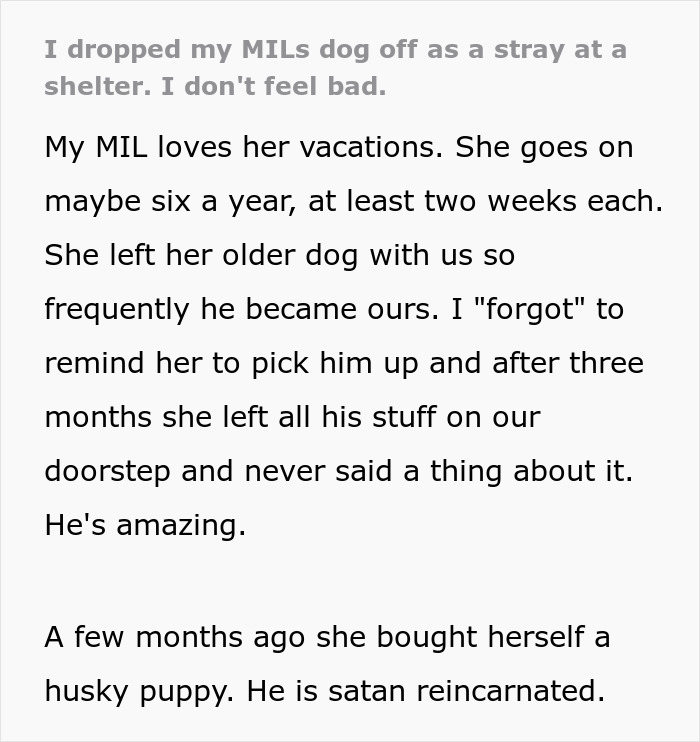 “I Dropped My MIL’s Dog Off As A Stray At A Shelter, And I Don’t Feel Bad” “I Dropped My MIL’s Dog Off As A Stray At A Shelter, And I Don’t Feel Bad”